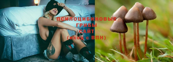 стафф Верхнеуральск