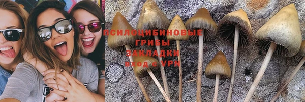 a pvp Верея