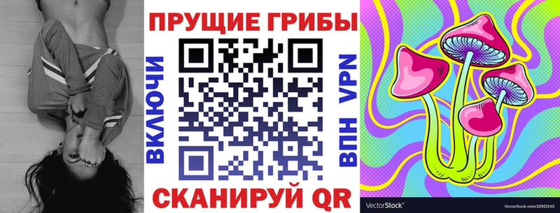 купить наркотики цена  Новошахтинск  Псилоцибиновые грибы мухоморы 